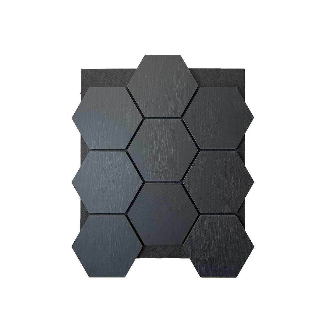 Sample hexagon wandpaneel zwart