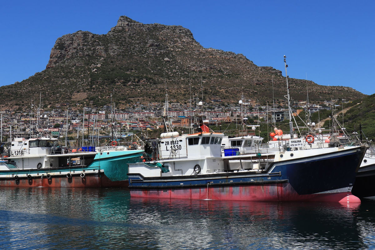 Fishing boats docked in Cape Town's harbor with a mountainous backdrop and clear blue sky.